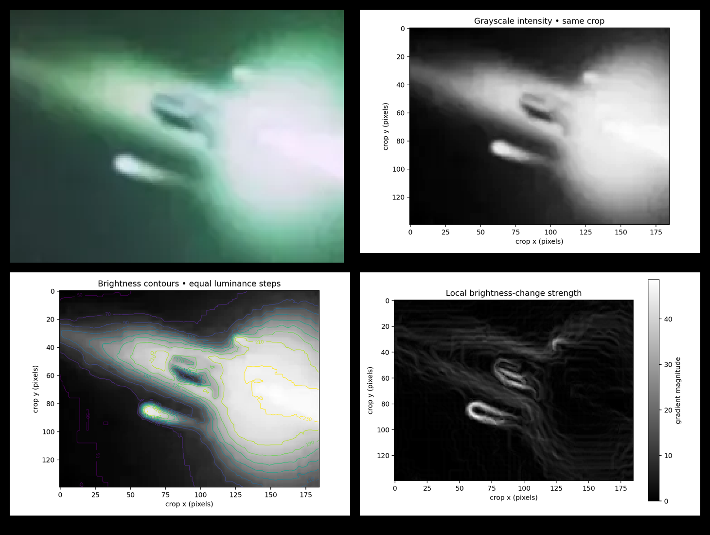 grey inclusion, four views